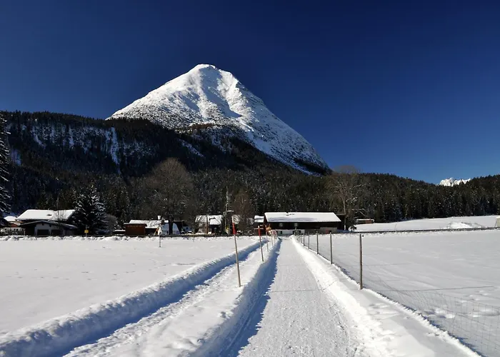 Margret 3* Лойташ